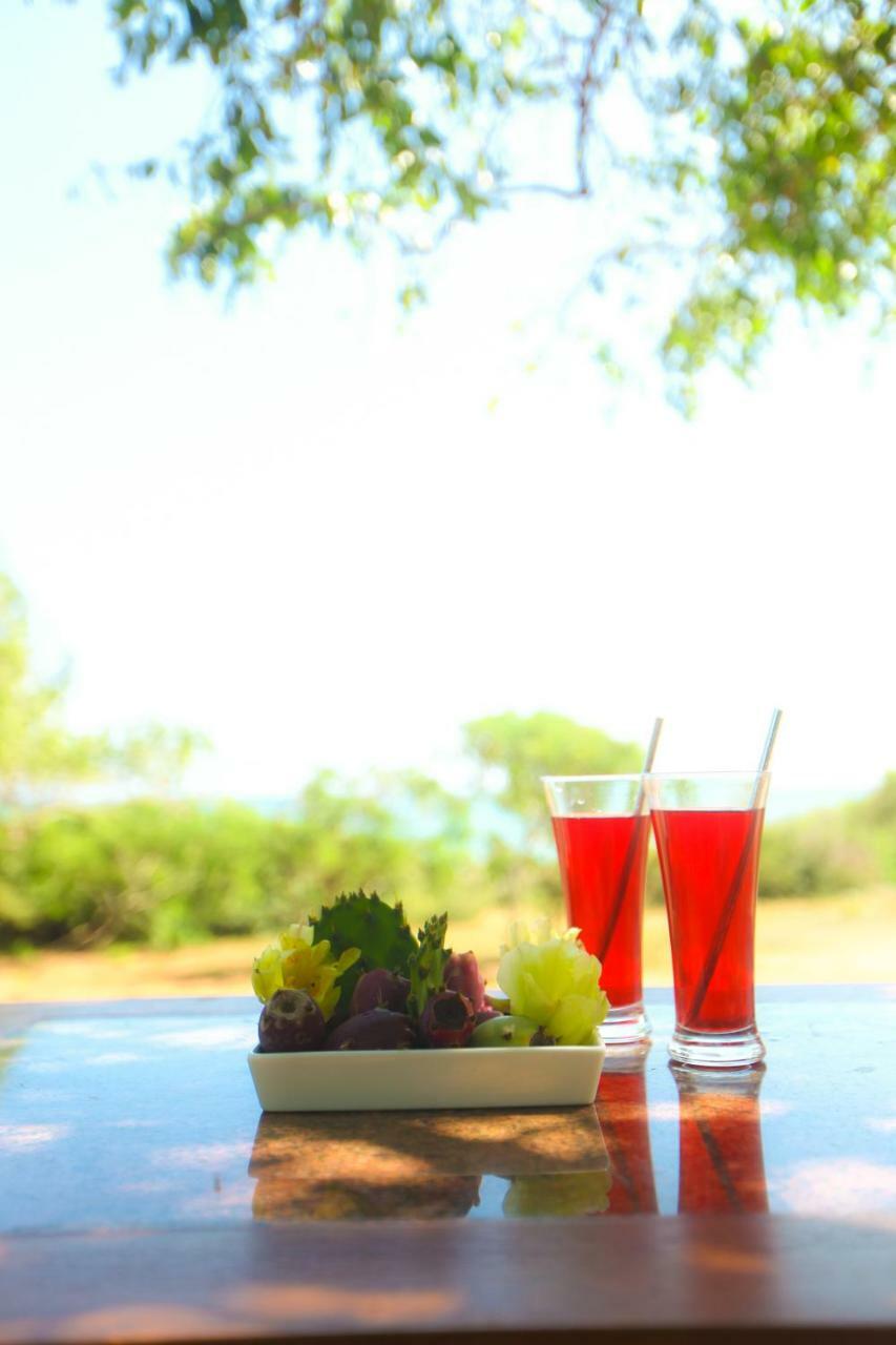 Nil Sisila Beach Resort 雅拉 外观 照片